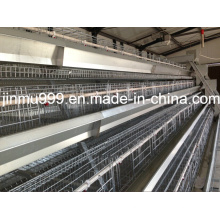 Automatic Chicken Cage System for Poultry Farm